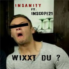Insanity ft. Inscope21 - Wixxt Du