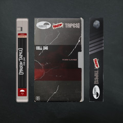 Cell 245 (Prison Tapes)