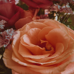 To be known - Tekoa cover