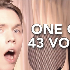 one guy 43 voices (roomie)