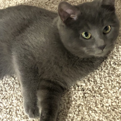 Show Me Love (Prod.  Astro Feel)