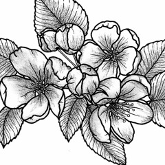 Jag Ger Dig Min Morgon