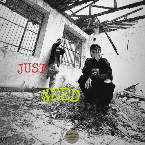 JIHAL X HC - JUST WEED