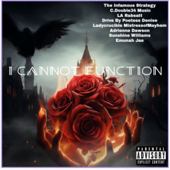 I Cannot Function, Part 1 (L.A. Rabsatt & C. Double34 Music, vocals)