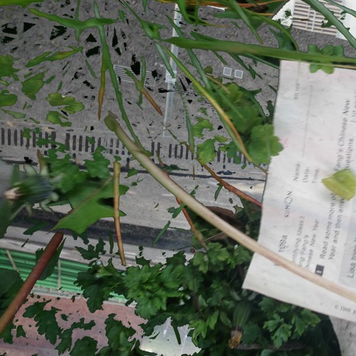 strain [disquiet0561]