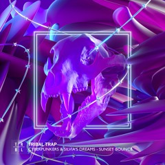 Cyberpunkers & Silvia's Dreams - Sunset Bounce