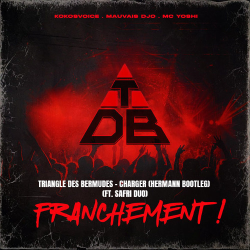 Triangle Des Bermudes - Charger (HERMANN Bootleg) (Ft. Safri Duo)