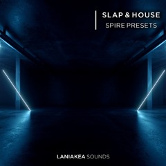 Slap & House Spire Presets