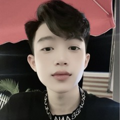 NST-VietMix-2025 Hào DZ kaka