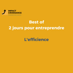 L'efficience