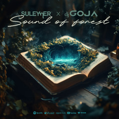 Suleymer x Dj Goja - Sound of forest ( Extended Version )