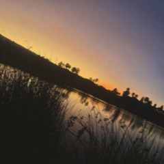 Selfish (prod. astral)