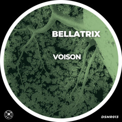 Voison - Bellatrix (Original Mix)
