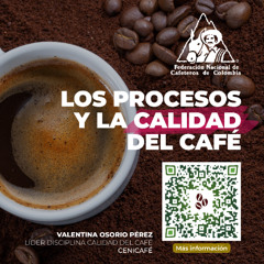 LOS PROCESOS Y LA CALIDAD DEL CAFÉ