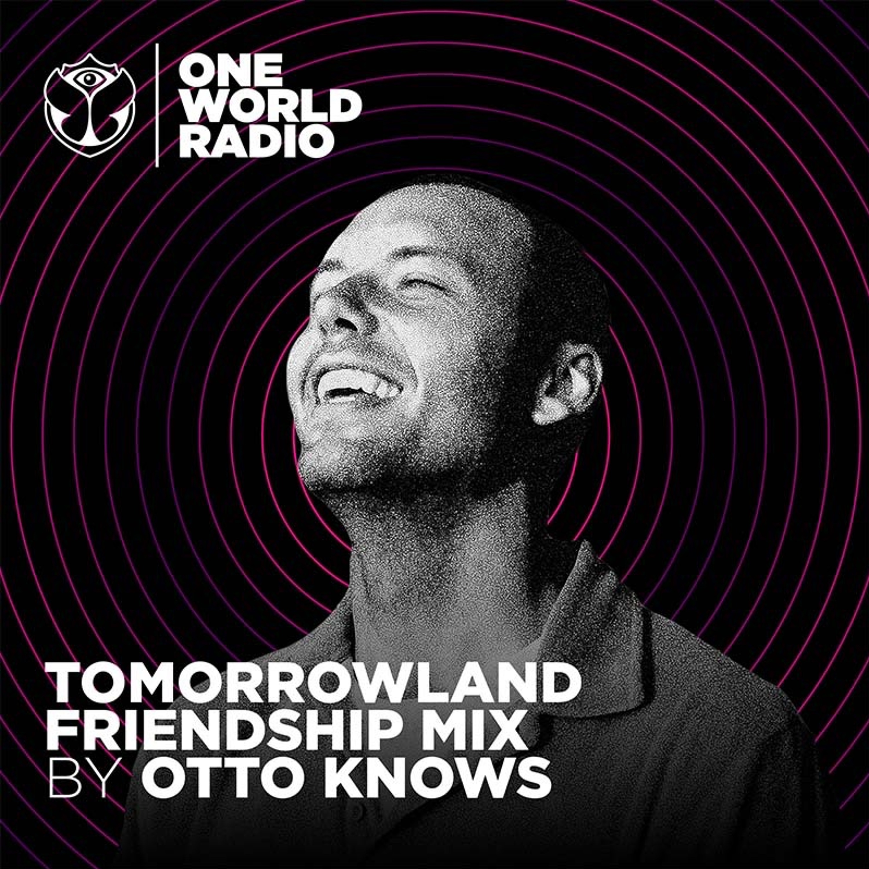 Tomorrowland Friendship Mix