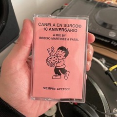10  Years of CNL - A Mix by Breixo Martinez & Fatal ( Limited 50 Tapes - Not For Sale)