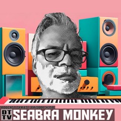 Seabra Monkey - Dub Techno TV Podcast Series #150