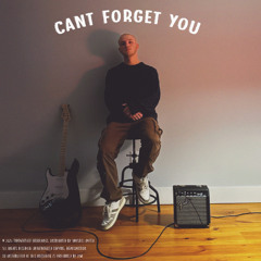 can't forget you