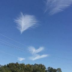 Oceans (Spirit Lead Me) - Liv Harland - COVER Paola Paika Sebastio