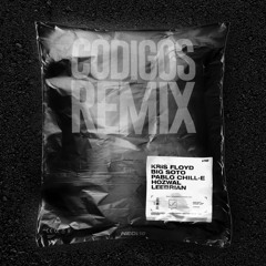 kris floyd ✘ big soto ✘ pablo chill-e ✘ hozwal ✘ leebrian = códigos remix