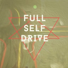 Full Self Drive