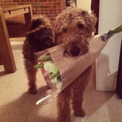 set em up (rucrazy + jsavant)