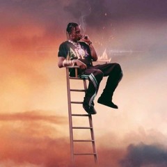 Travis Scott Type Beat "Raid Em"