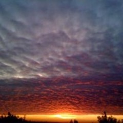 The Fine Art Of Repetition - [ Passacaglia in 7 voices ]