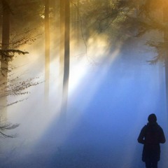 THE LIGHTS FINAL BOW ~~~~ JOHN PALMER & ROOTS DUBMAN