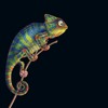 Chameleon Selects [001] DJ mix artwork - Electronic music tracklist cover image