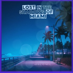 Lost in the Shadows of Miami