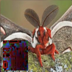 20220801_09572039Somethingreal