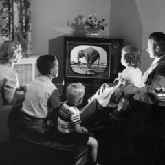 REGENIX (Commercial)