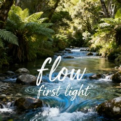 Flow
