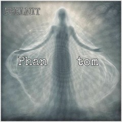 FEELNIT - Phantom