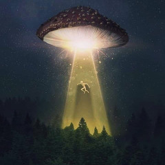 Nature And Aliens