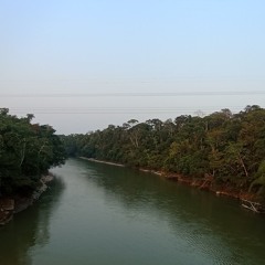 Putumayo TechSensation - Mauro Beat / PutumayoDrums