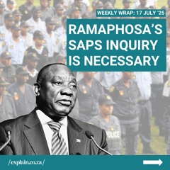 Ramaphosa’s SAPS inquiry is necessary: 17 July '25