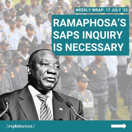 Ramaphosa’s SAPS inquiry is necessary: 17 July '25