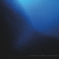 348AM in the catskills by Bluera