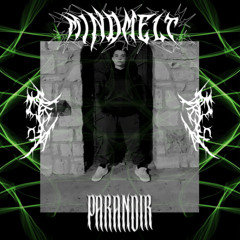 MindMelt x PARANØIR