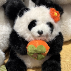 China's soft diplomacy - Pandas win hearts and minds without even trying, by Annamika Konkola