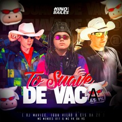 TÔ SUAVE DE VACA 2 🐮 - DJ MAVICC, IGOR VILÃO & DJ C15 DA Z.O