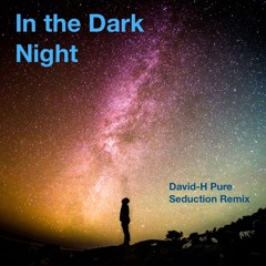In the Dark Night // David-H Pure Seduction Remix