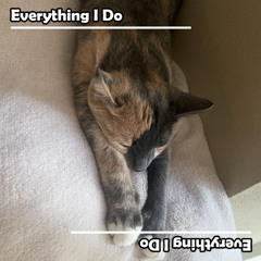 Everything I Do