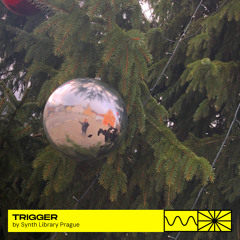 Trigger 01/24 by Synth Library Prague