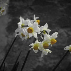 Spring Mix by Mizoo (Arlette Records)