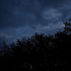 Богдан Пришляк - Дощі