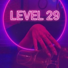 Level 29