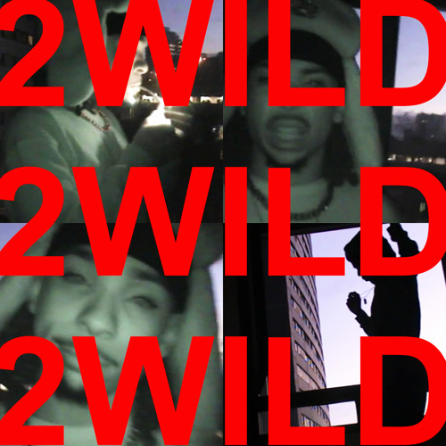 2wild